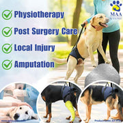 A+a Pets' Male Dog Lift Support Harness for Hind / Back Legs - www.aplusapets.com