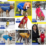 Collage of dogs wearing various sizes of dog coats with corresponding size labels.