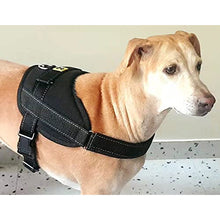 Reflective Vest Harness- Black