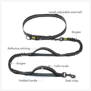 A+a Pets’ 2in1 Bungee Hands-Free Leash - www.aplusapets.com