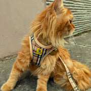 A+a Pets' Bur-Berry Checks Harness & Leash Set for Cats & Dogs - www.aplusapets.com