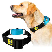 A+a Pets’ Martingale Collar for Dogs - Black Collection - www.aplusapets.com