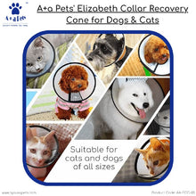 medical collar for dogs