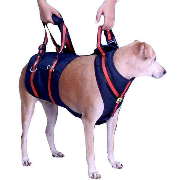 A+a Pets' Full Body Support Harness for Dogs