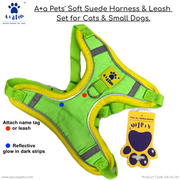 A+a Pets' Suede Harness & Leash Set for Cats & Small Dogs - www.aplusapets.com