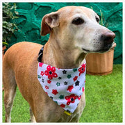 A+a Pets' 2in1 Scarf Collar Bandana for Dogs & Cats - Cute Collection - www.aplusapets.com