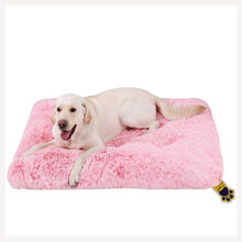 beds for dogs