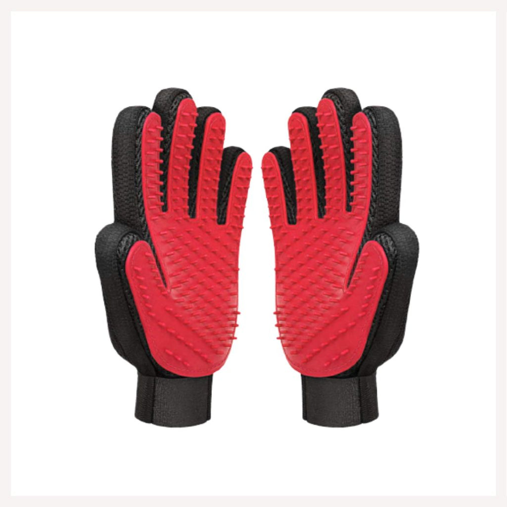 A+A Pets' Bathing Silicon Gloves for Pets - www.aplusapets.com