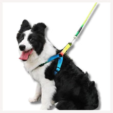 A+A Pets' Rainbow Harness And Leash For Dogs & Cats - www.aplusapets.com
