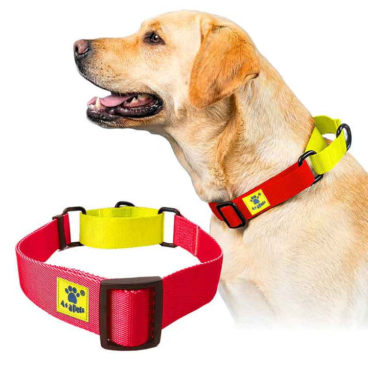 A+a Pets’ Martingale Collar for Dogs - Red Collection - www.aplusapets.com