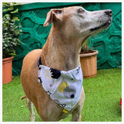 A+a Pets' 2in1 Scarf Collar Bandana for Dogs & Cats - Cute Collection - www.aplusapets.com