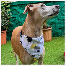 A+a Pets' 2in1 Scarf Collar Bandana for Dogs & Cats - Cute Collection