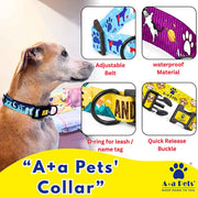 Dog wearing a colorful collar with product features highlighted, including adjustable belt, waterproof material, d-ring for leash/name tag, and quick release buckle. A+a Pets' logo is visible.
