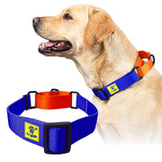 A+a Pets’ Martingale Collar for Dogs - Orange Collection - www.aplusapets.com
