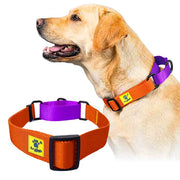 A+a Pets’ Martingale Collar for Dogs - Orange Collection - www.aplusapets.com