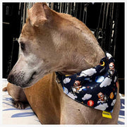 A+a Pets' 2in1 Scarf Collar Bandana for Dogs & Cats - Teddy Collection - www.aplusapets.com