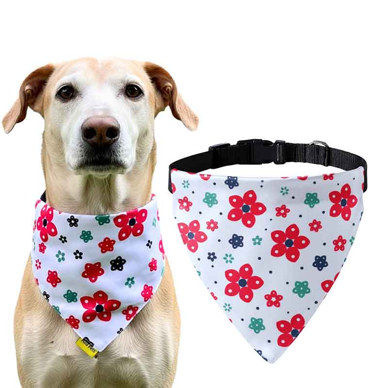 A+a Pets' 2in1 Scarf Collar Bandana for Dogs & Cats - Cute Collection - www.aplusapets.com