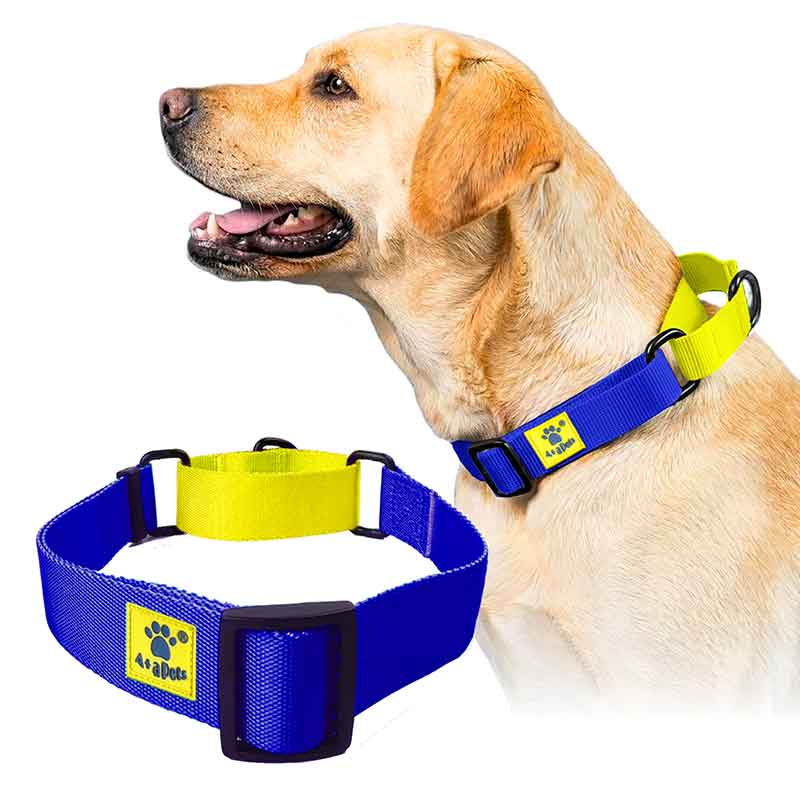 A+a Pets’ Martingale Collar for Dogs - Yellow Collection - www.aplusapets.com