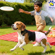 A+a Pets' Disposable Leak Proof Diapers for Female Dogs - Pack of 10 - www.aplusapets.com
