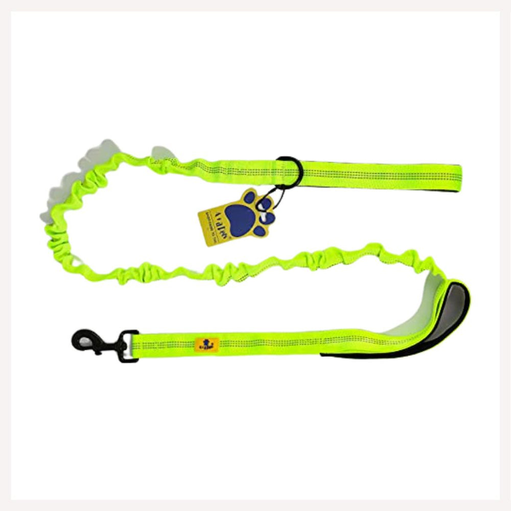 A+a Pets' Dual Handle Bungee Leash - Green - www.aplusapets.com