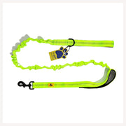A+a Pets' Dual Handle Bungee Leash - Green - www.aplusapets.com