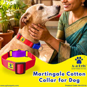 A+a Pets’ Martingale Collar for Dogs - Black Collection - www.aplusapets.com