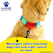 A+a Pets’ Martingale Collar for Dogs - Sky Collection - www.aplusapets.com