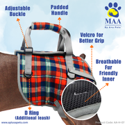 Dog harness with plaid pattern and features highlighted on a blue background