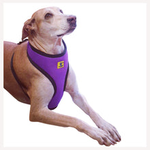 A+A Pets' Air Mesh Quick Dry Vest Style Harness