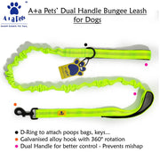 A+a Pets' Dual Handle Bungee Leash - Green - www.aplusapets.com
