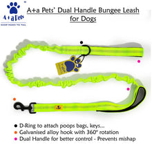 A+a Pets' Dual Handle Bungee Leash - Green - www.aplusapets.com