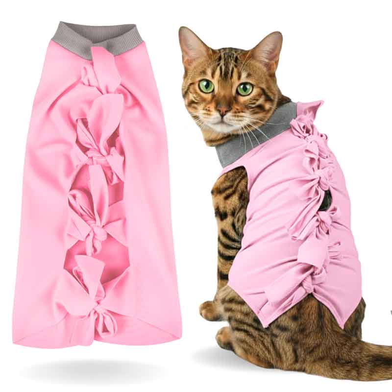 A+a Pets' Post Surgery Recovery Clothing for Cats - www.aplusapets.com