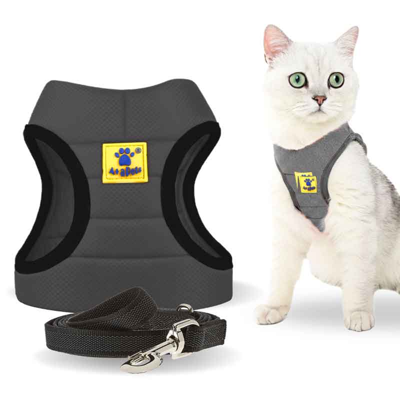 A+a Pets' Feather Weight' Harness & Leash Set for Cats & Small Dogs - www.aplusapets.com