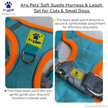 A+a Pets' Reflective Harness & Leash Set for Cats, Puppies, Small Dogs Suede Fabric - Orange