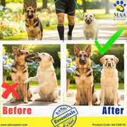 A+a Pets' Soft Muzzle for Dogs - Breathable Mesh with Velcro Opening - www.aplusapets.com