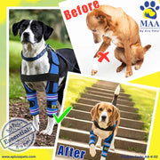 Collage of dogs using a dog shoulder braces with 'Before' and 'After' images, featuring Aa Pets branding.