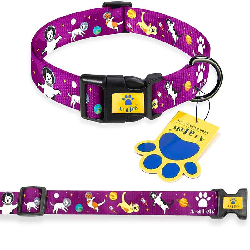 Purple dog collar with cartoon designs and brand tag on a white background