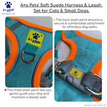 A+a Pets' Suede Harness & Leash Set for Cats & Small Dogs