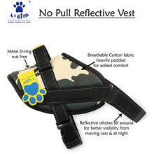 harness dog belt