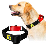 A+a Pets’ Martingale Collar for Dogs - Black Collection - www.aplusapets.com