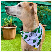 A+a Pets' 2in1 Scarf Collar Bandana for Dogs & Cats - Fruit Collection