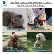 A+a Pets' Suede Harness & Leash Set for Cats & Small Dogs - www.aplusapets.com