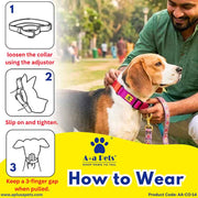 A+a Pets’ Martingale Collar for Dogs - Black Collection - www.aplusapets.com