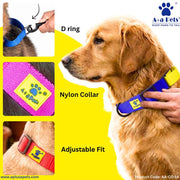 A+a Pets’ Martingale Collar for Dogs - Red Collection - www.aplusapets.com