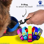 A+a Pets’ Martingale Collar for Dogs - Sky Collection - www.aplusapets.com