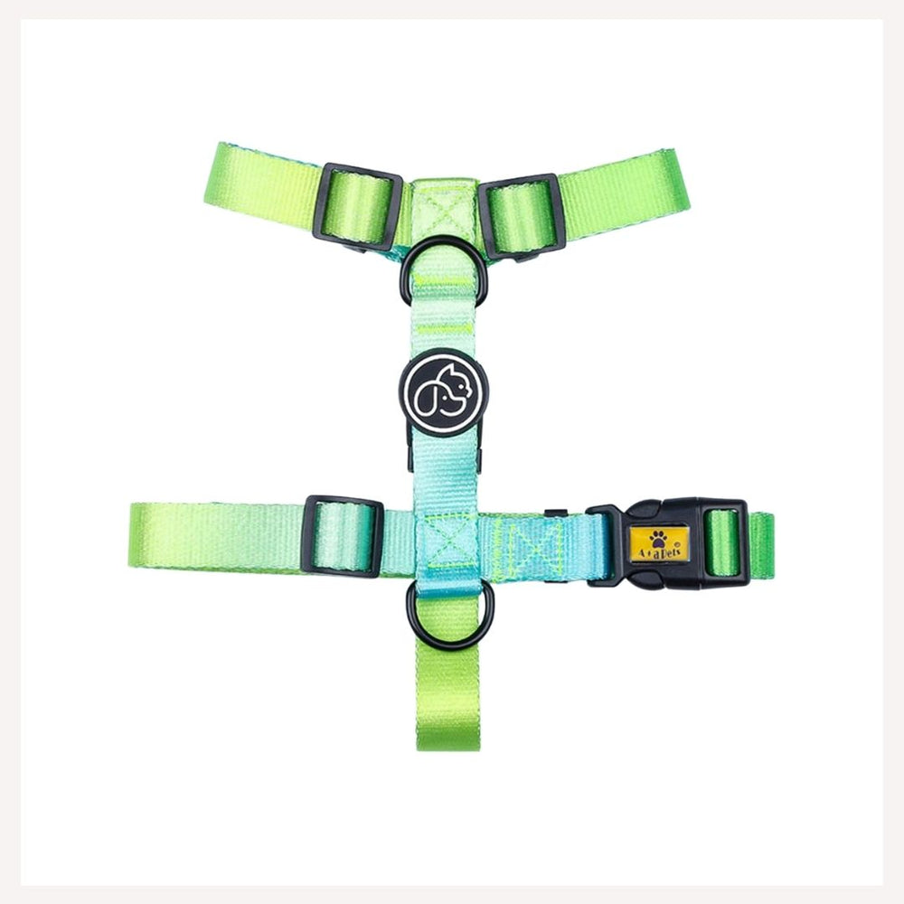 A+A Pets' Gradient Design H Harness For Dog & Cats- Green - www.aplusapets.com
