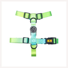 A+A Pets' Gradient Design H Harness For Dog & Cats- Green - www.aplusapets.com
