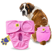 Dog wearing pink diaper with a large dog in the background