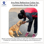 dog collar for the safety of street dog