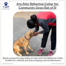 dog collar for the safety of street dog